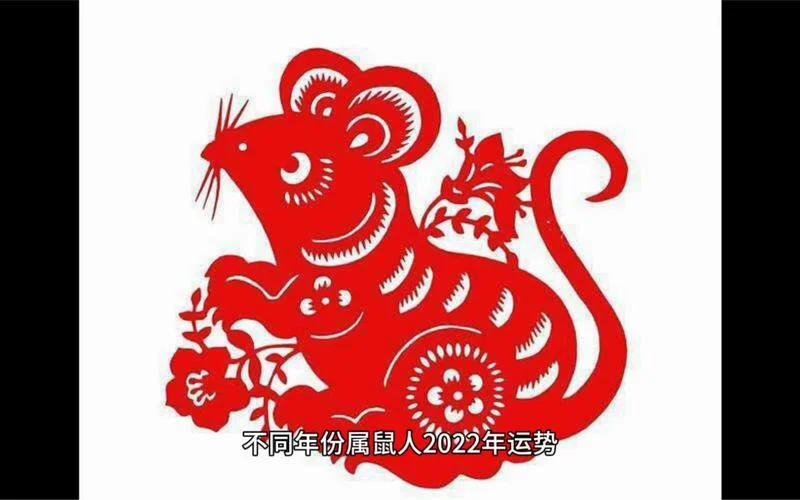 60年的鼠2022年的运势_1