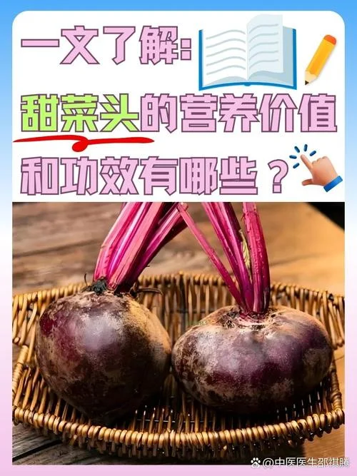 种甜菜一亩能赚多少钱_1