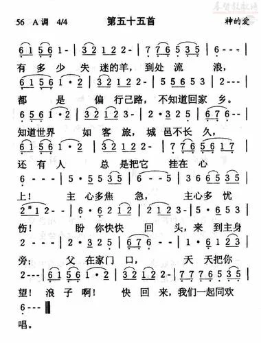 岔路失羊的感悟_1