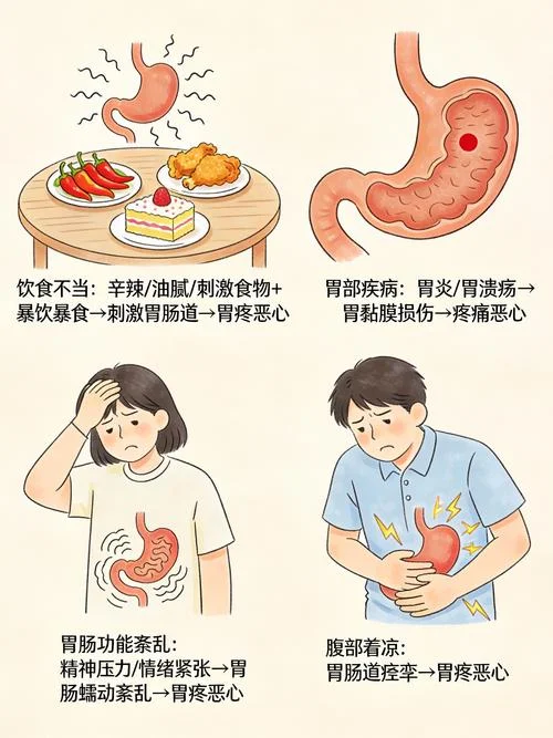 一吃饭就胃疼是为什么_2