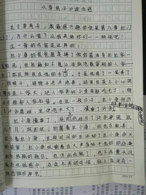草房子感悟200字-草房子感悟 200 字