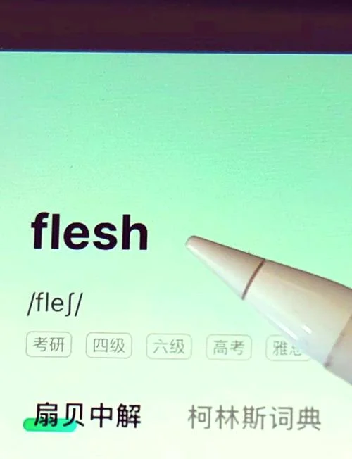 武安用英语怎么读音-武安英语读音