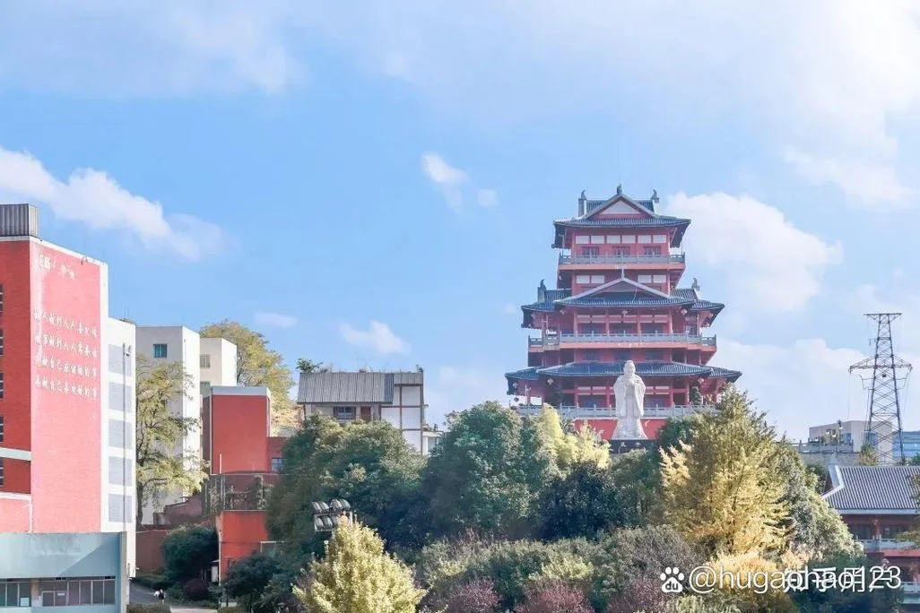 兴农中学直播-兴农中学直播