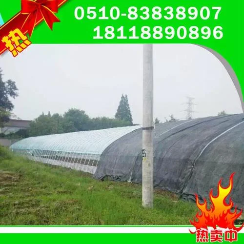建一个大棚一亩地需要多少钱_2
