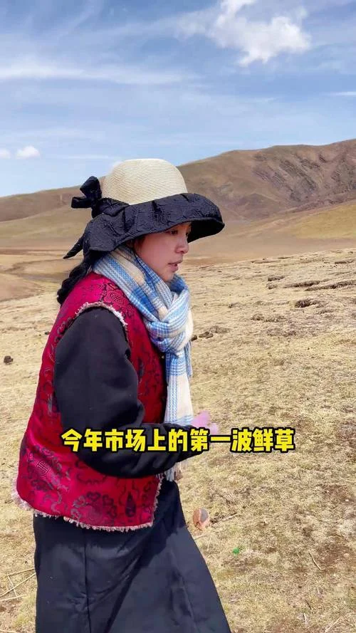 新鲜虫草多少钱-新鲜虫草价格参考