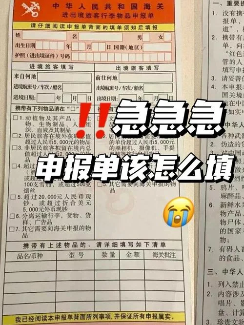 海关申报单号在哪里查_1