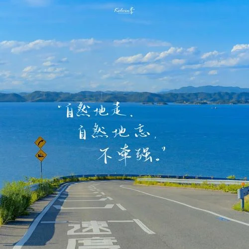 随缘惜缘不攀缘 出处_2