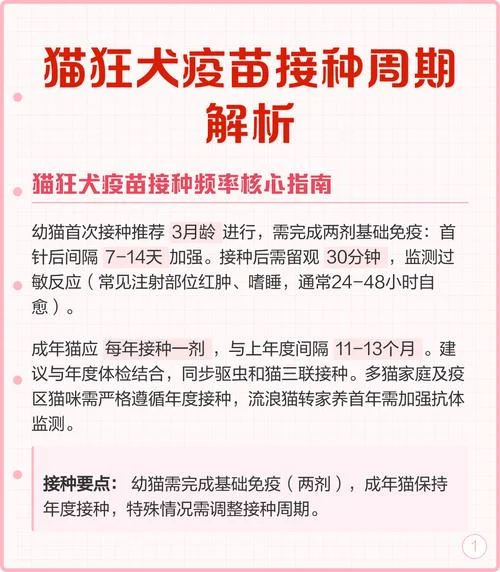猫咪狂犬疫苗多少钱一针?-猫咪狂犬疫苗单价