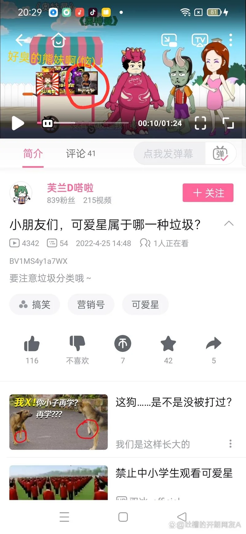 b站上的homo是什么意思_2