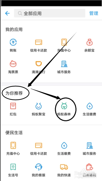 支付宝支付接口条件_1
