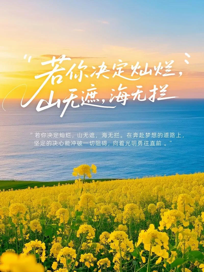 说说人生感悟_1