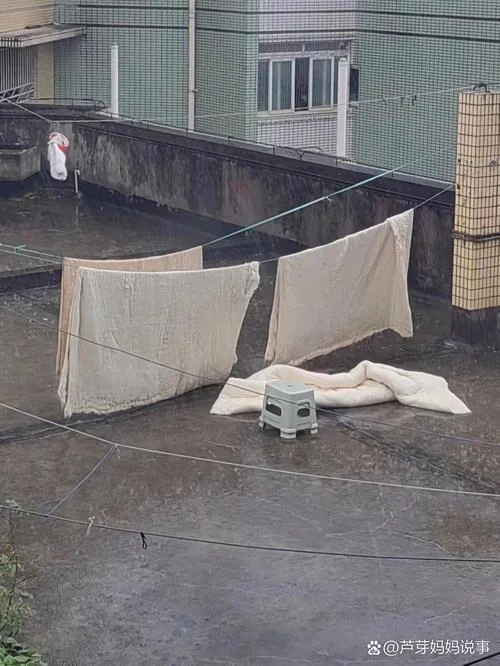 梦见被大雨淋湿被子_2