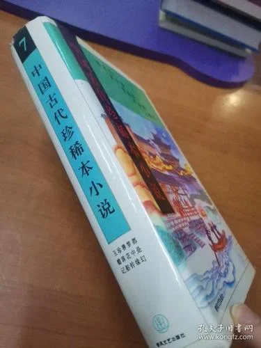 传国侯出自哪部小说_2