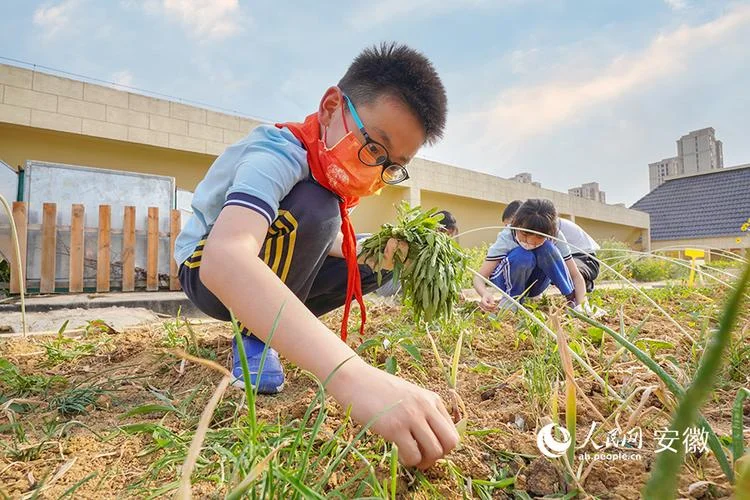 东辛农场中学生物工程-东辛农场中学生物