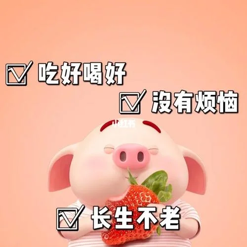 祝福吃好喝好的话-祝福吃好喝好