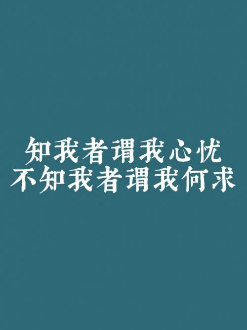 知我者谓我心忧不知我者谓我何求出自哪里_1