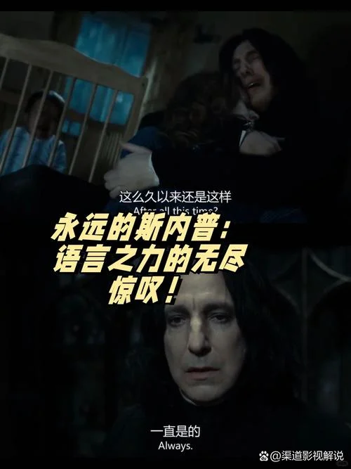 always have always will是什么意思_1