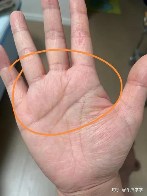 手相准吗科学吗知乎_1