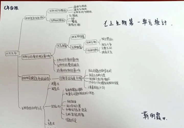 单元知识网络图怎么画_1