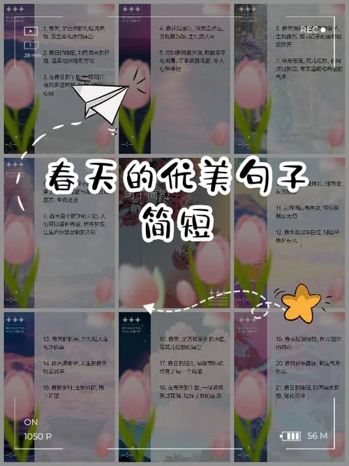 感悟春天来了的句子-感悟春天句子
