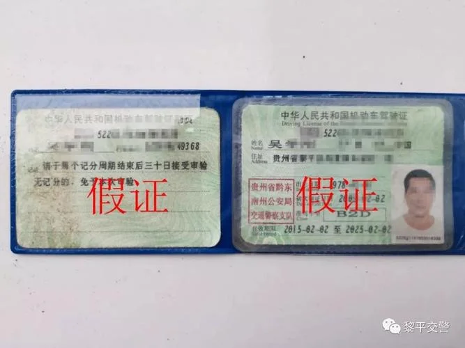 微信怎么查驾驶证_1