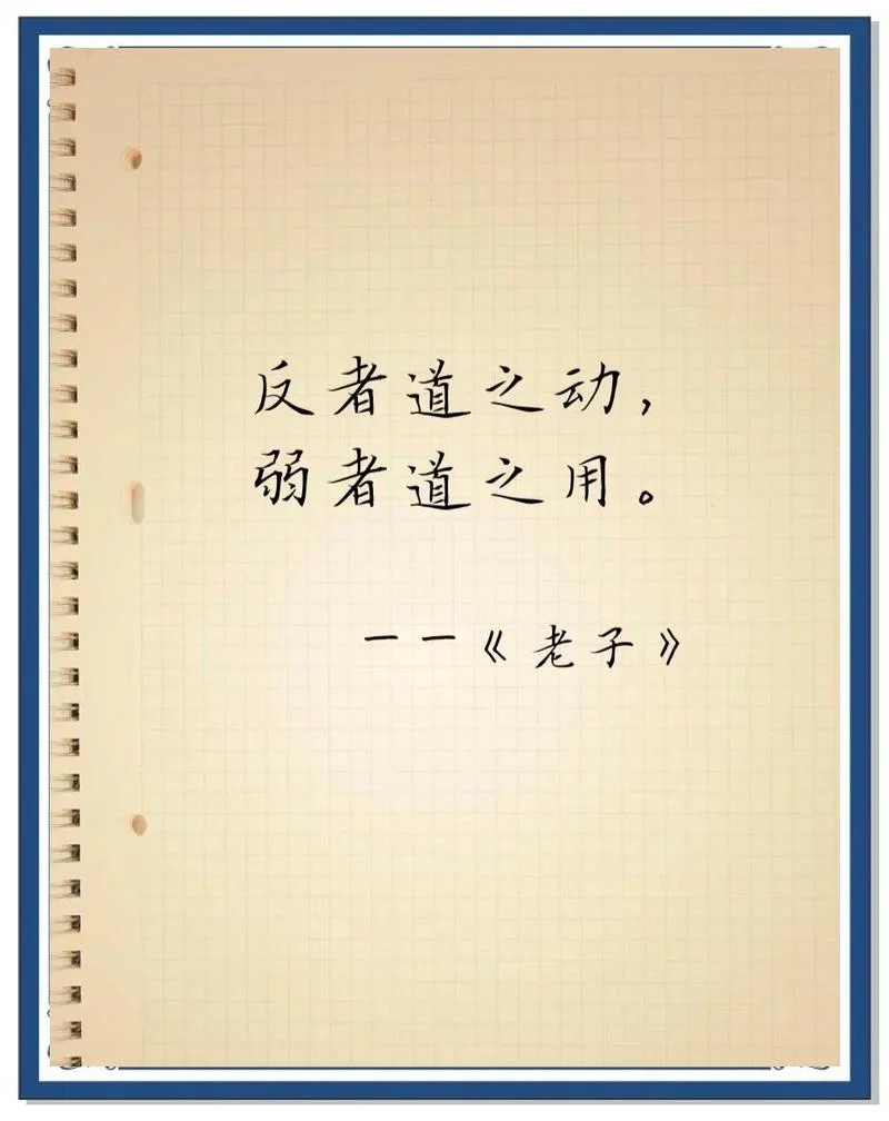 正言若反出处_2