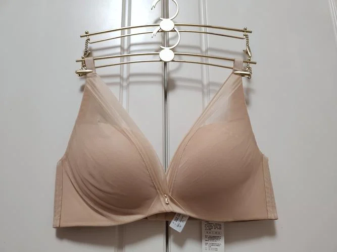 女士文胸哪个品牌的好_1