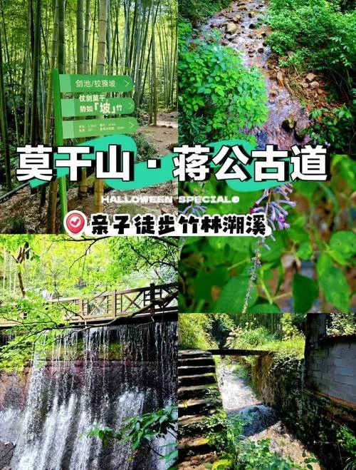莫干山攻略亲子三日游_2