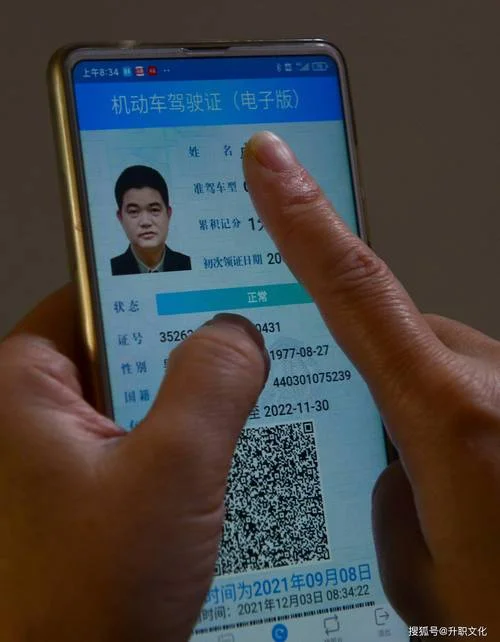 怎么查电子驾驶证_1
