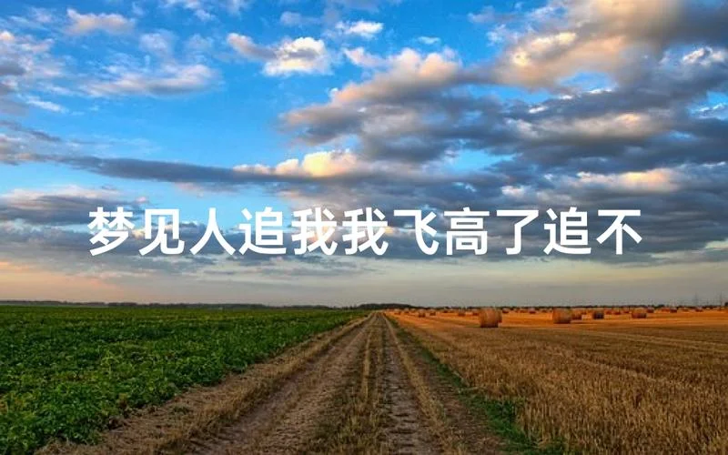 做梦有人追我什么意思_2