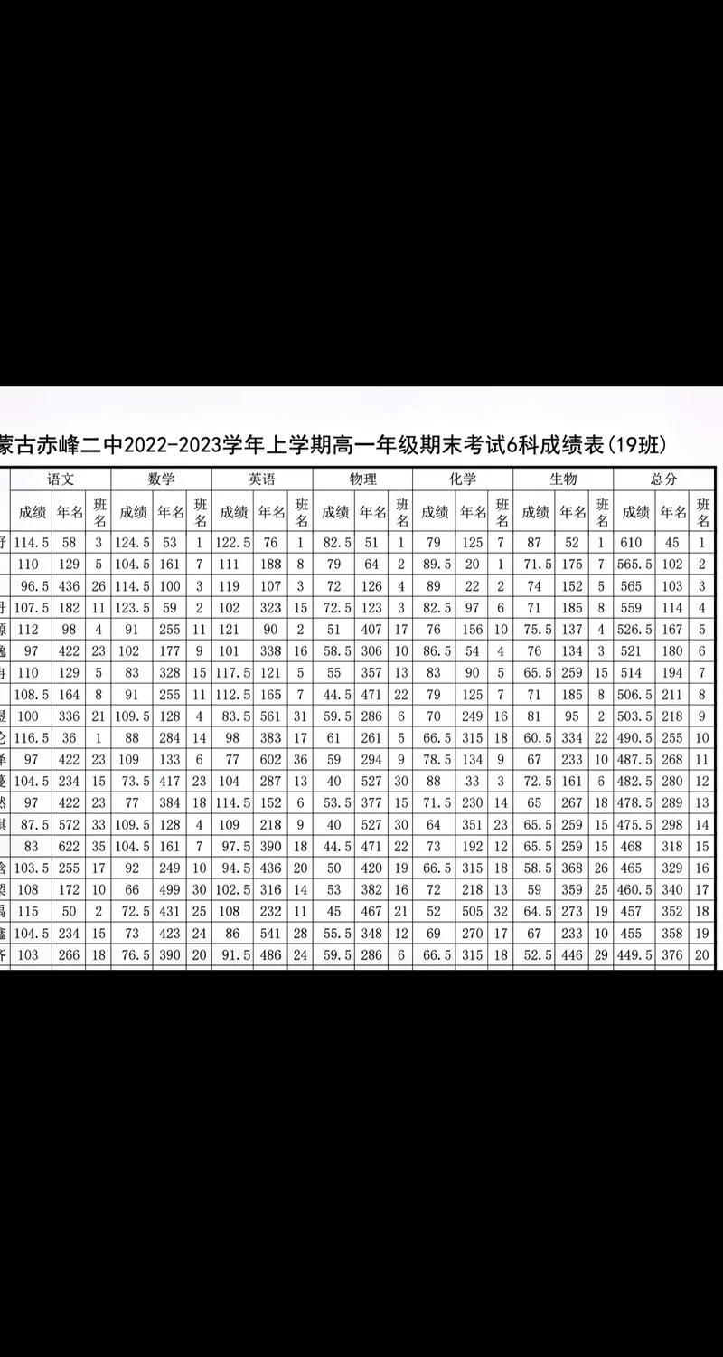 试卷成绩汇总表_2