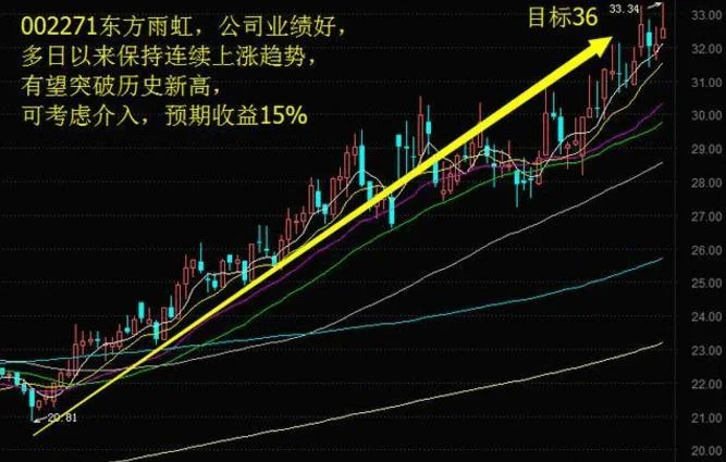 002271历史数据-002271 历史数据
