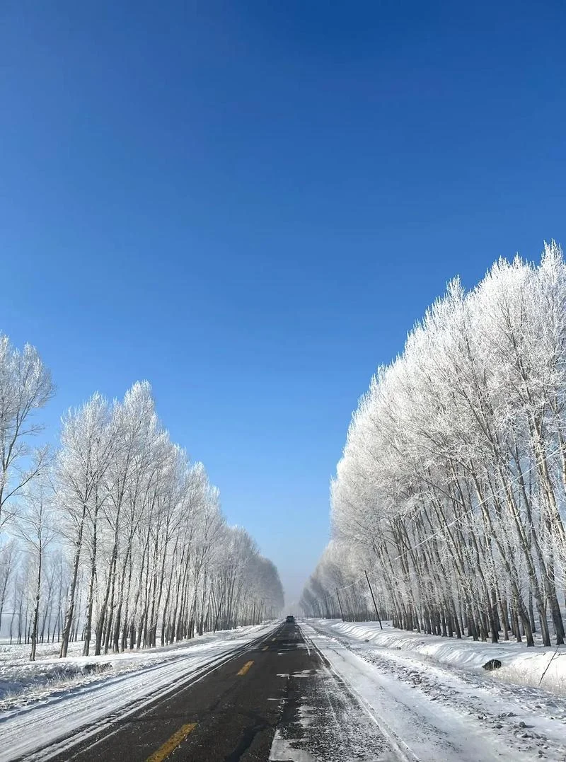做梦下雪啦好不好_1