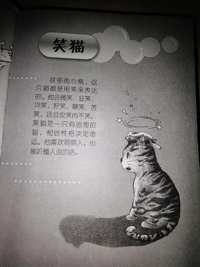 笑猫日记作者简介_1