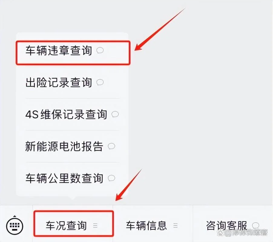 如何查机动车违章-机动车违章查询