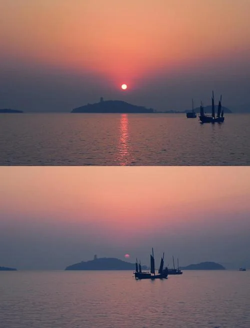 鼋头渚海鸥几月份有_1