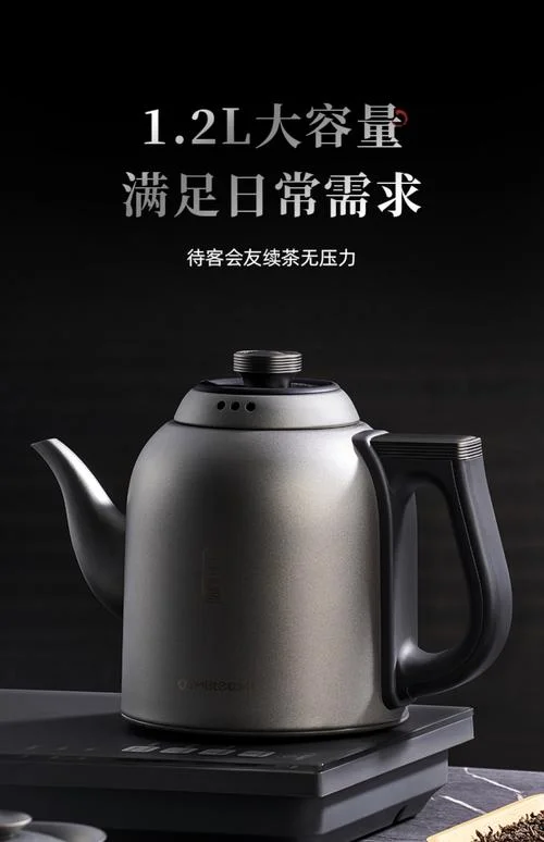 电热烧水壶哪个牌子好_1