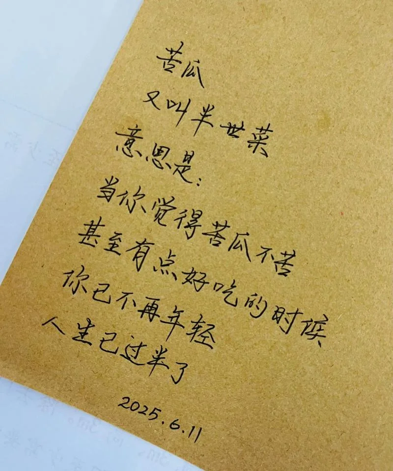 经历了才懂得人生感悟_1