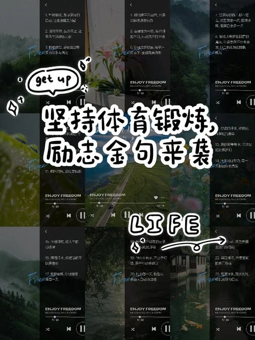 坚持体育运动的感悟_2