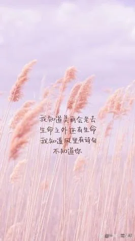 唯美个性空间说说_2