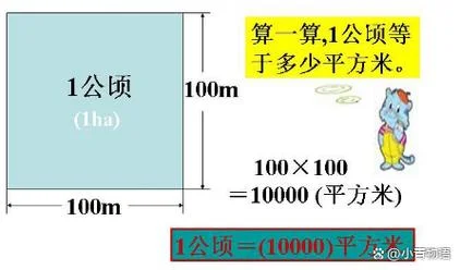 十亩等于多少平方米-十亩等于三百三十二平方米
