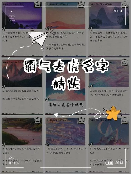 虎年宝宝起名大全男孩_1