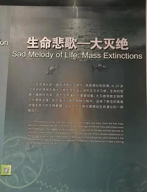 生命存在的条件_1