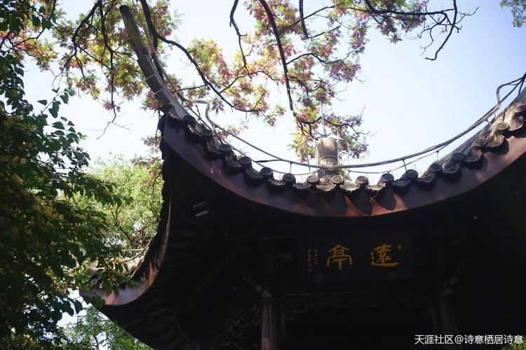 沉浸浓郁含英咀华出处_2