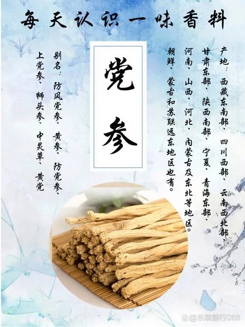 党参的别名叫什么_1