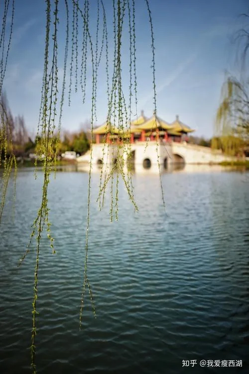 西湖的绿读后感_1