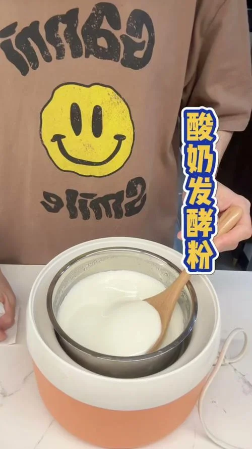 发酵酸奶的菌叫什么_1