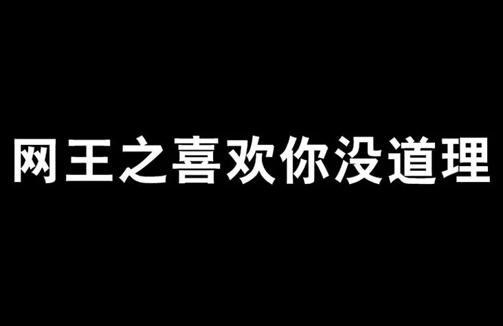 喜欢你没道理广告词_1