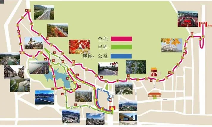 2016泰山马拉松成绩单_2
