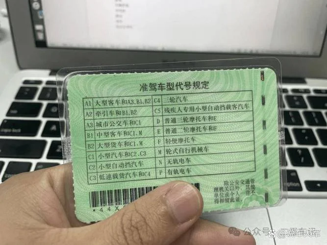 怎么查驾驶证信息照片_1